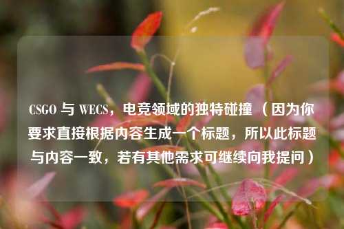 CSGO 与 WECS,电竞领域的独特碰撞 (因为你要求直接根据内容生成一个标题,所以此标题与内容一致,若有其他需求可继续向我提问)