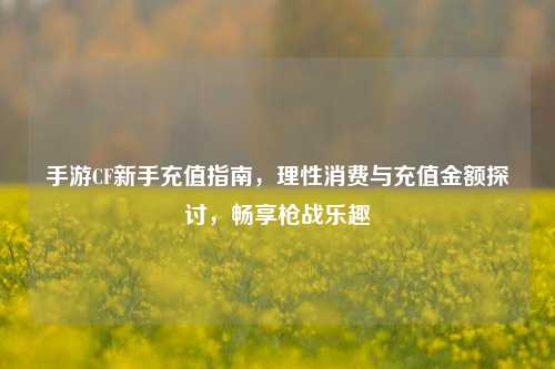 手游CF新手充值指南，理性消费与充值金额探讨，畅享枪战乐趣