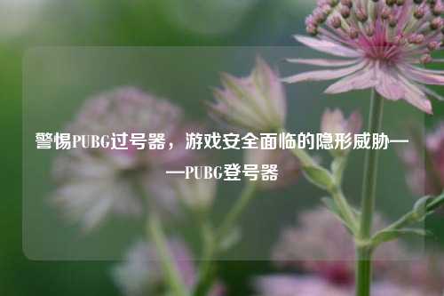 警惕PUBG过号器，游戏安全面临的隐形威胁——PUBG登号器