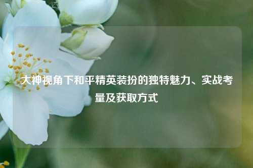 大神视角下和平精英装扮的独特魅力、实战考量及获取方式