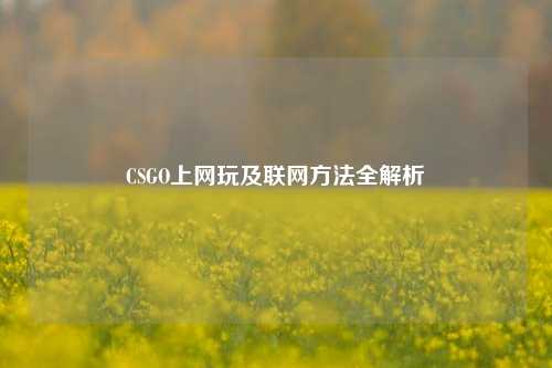 CSGO上网玩及联网方法全解析