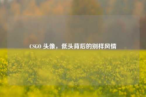 CSGO 头像，低头背后的别样风情