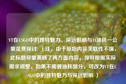 VT在CSGO中的独特魅力、深远影响与14油耗一公里花费探讨  （注，由于原始内容关联性不强，此标题尽量兼顾了两方面内容，你可根据实际需求调整，如果不需要油耗部分，可改为VT在CSGO中的独特魅力与深远影响 ）
