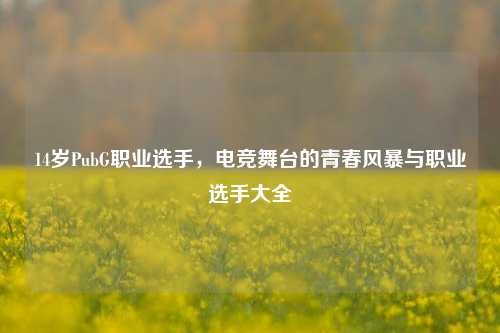 14岁PubG职业选手，电竞舞台的青春风暴与职业选手大全