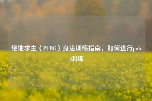 绝地求生（PUBG）身法训练指南，如何进行pubg训练