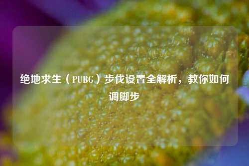 绝地求生(PUBG)步伐设置全解析,教你如何调脚步