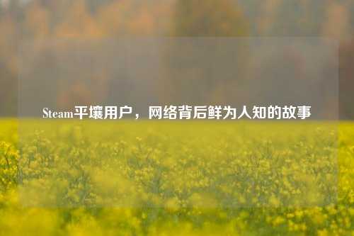 Steam平壤用户,网络背后鲜为人知的故事