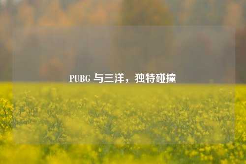 PUBG 与三洋,独特碰撞