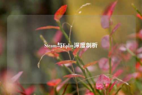 Steam与Eplay深度剖析