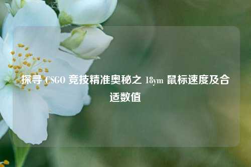 探寻 CSGO 竞技精准奥秘之 18ym 鼠标速度及合适数值