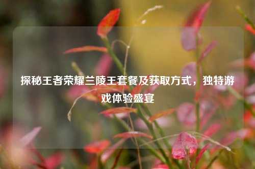 探秘王者荣耀兰陵王套餐及获取方式，独特游戏体验盛宴