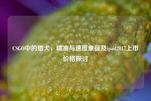 CSGO中的猎犬，精准与速度象征及ipad2017上市价格探讨