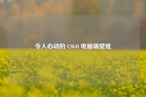 令人心动的 CSGO 电脑端壁纸