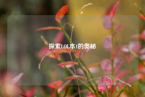 探索LOL本1的奥秘