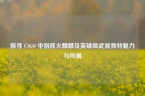 探寻 CSGO 中别样火麒麟及英雄级武器独特魅力与所属