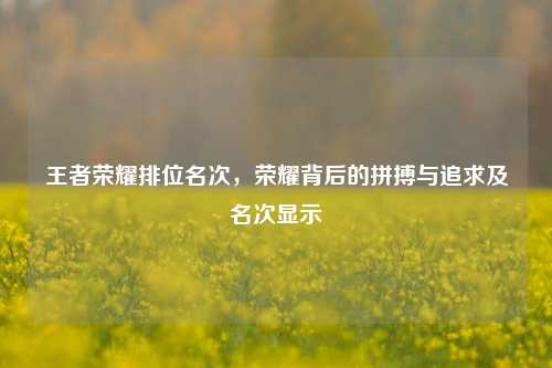 王者荣耀排位名次,荣耀背后的拼搏与追求及名次显示