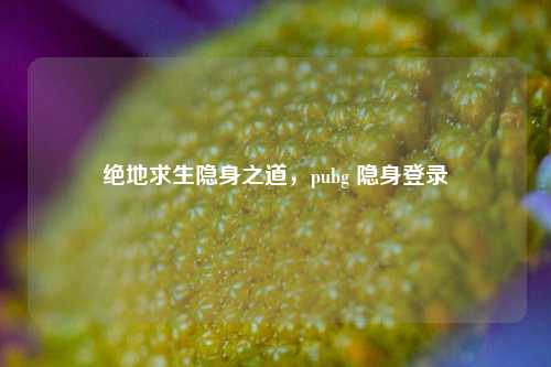 绝地求生隐身之道，pubg 隐身登录
