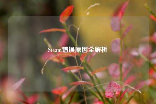 Steam错误原因全解析