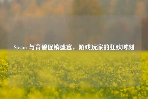 Steam 与育碧促销盛宴，游戏玩家的狂欢时刻
