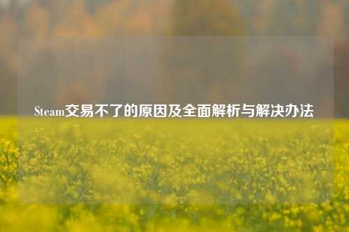 Steam交易不了的原因及全面解析与解决办法