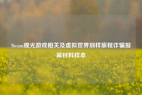 Steam观光游戏相关及虚拟世界别样旅程诈骗报案材料样本