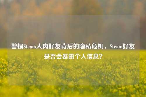 警惕Steam人肉好友背后的隐私危机,Steam好友是否会暴露个人信息?