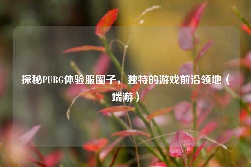探秘PUBG体验服圈子,独特的游戏前沿领地(端游)