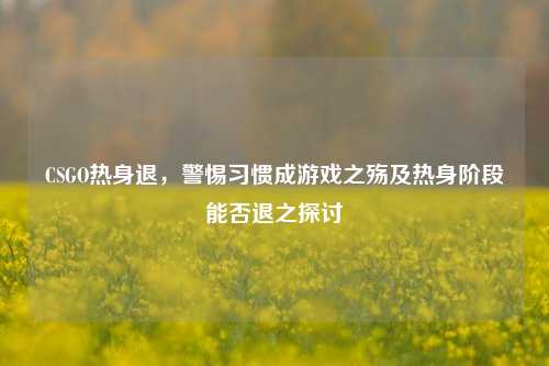 CSGO热身退,警惕习惯成游戏之殇及热身阶段能否退之探讨