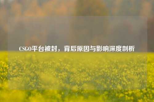 CSGO平台被封,背后原因与影响深度剖析