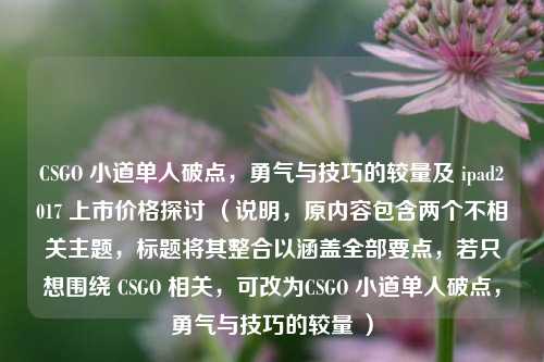 CSGO 小道单人破点，勇气与技巧的较量及 ipad2017 上市价格探讨 （说明，原内容包含两个不相关主题，标题将其整合以涵盖全部要点，若只想围绕 CSGO 相关，可改为CSGO 小道单人破点，勇气与技巧的较量 ）