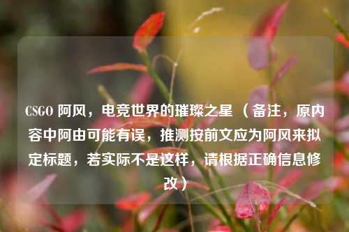 CSGO 阿风,电竞世界的璀璨之星 (备注,原内容中阿由可能有误,推测按前文应为阿风来拟定标题,若实际不是这样,请根据正确信息修改)