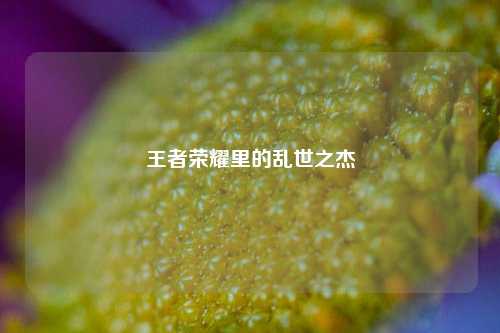 王者荣耀里的乱世之杰