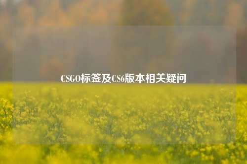CSGO标签及CS6版本相关疑问