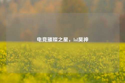 电竞璀璨之星,lol昊神
