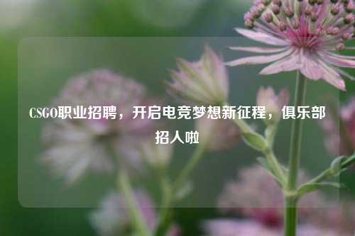 CSGO职业招聘，开启电竞梦想新征程，俱乐部招人啦