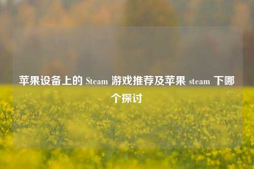苹果设备上的 Steam 游戏推荐及苹果 steam 下哪个探讨