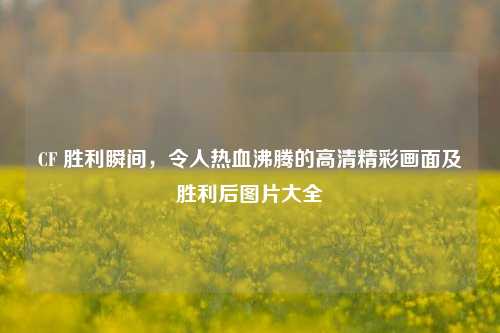 CF 胜利瞬间,令人热血沸腾的高清精彩画面及胜利后图片大全