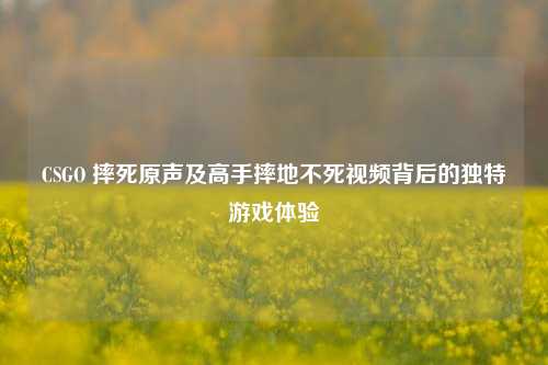 CSGO 摔死原声及高手摔地不死视频背后的独特游戏体验
