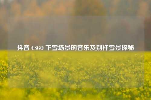 抖音 CSGO 下雪场景的音乐及别样雪景探秘