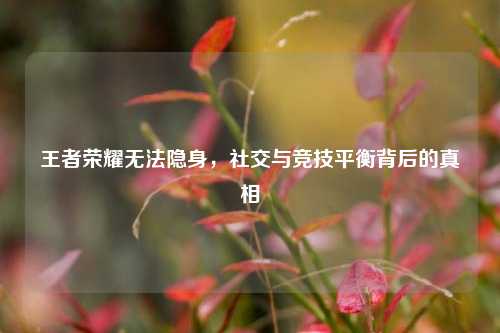 王者荣耀无法隐身,社交与竞技平衡背后的真相