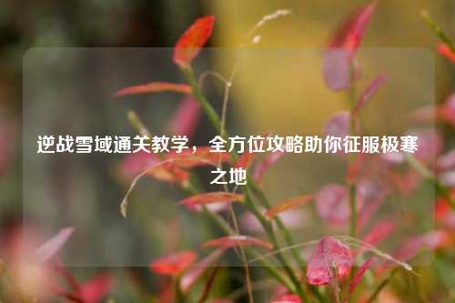 逆战雪域通关教学，全方位攻略助你征服极寒之地