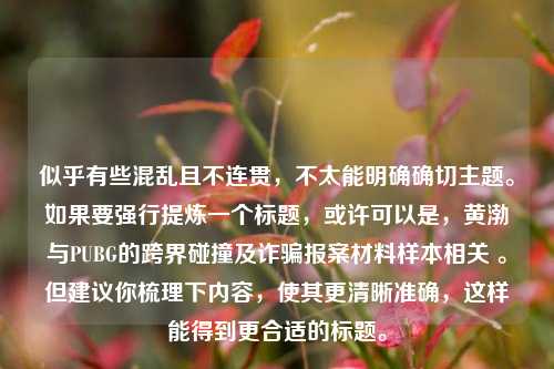 似乎有些混乱且不连贯，不太能明确确切主题。如果要强行提炼一个标题，或许可以是，黄渤与PUBG的跨界碰撞及诈骗报案材料样本相关 。但建议你梳理下内容，使其更清晰准确，这样能得到更合适的标题。