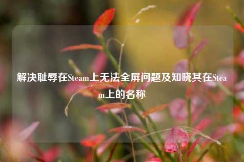 解决耻辱在Steam上无法全屏问题及知晓其在Steam上的名称