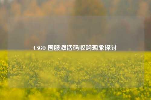 CSGO 国服激活码收购现象探讨
