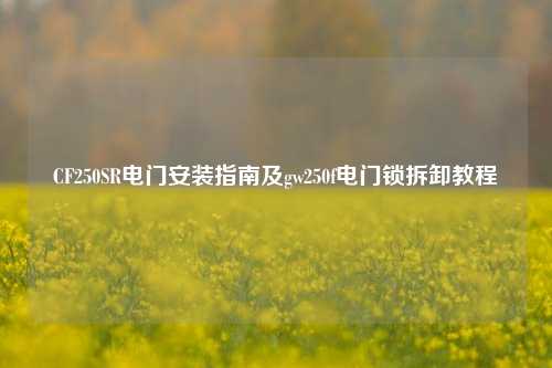 CF250SR电门安装指南及gw250f电门锁拆卸教程