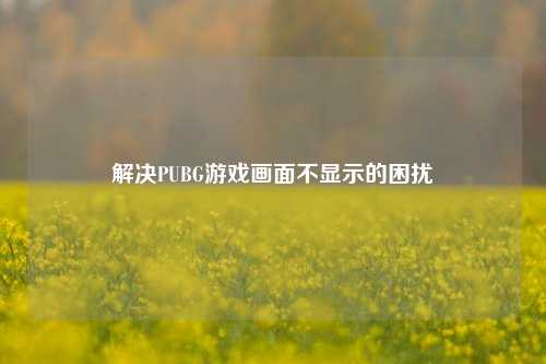 解决PUBG游戏画面不显示的困扰