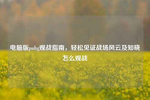 电脑版pubg观战指南,轻松见证战场风云及知晓怎么观战