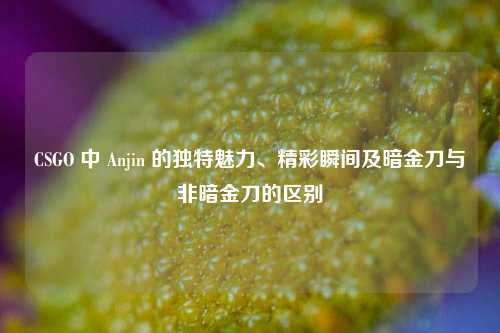 CSGO 中 Anjin 的独特魅力、精彩瞬间及暗金刀与非暗金刀的区别