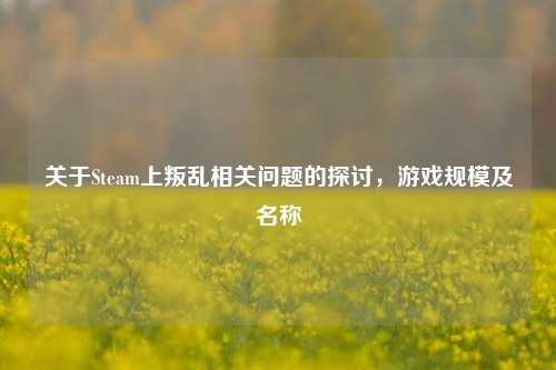 关于Steam上叛乱相关问题的探讨,游戏规模及名称