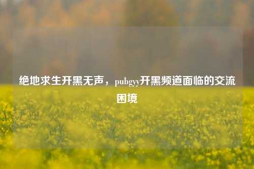 绝地求生开黑无声,pubgyy开黑频道面临的交流困境